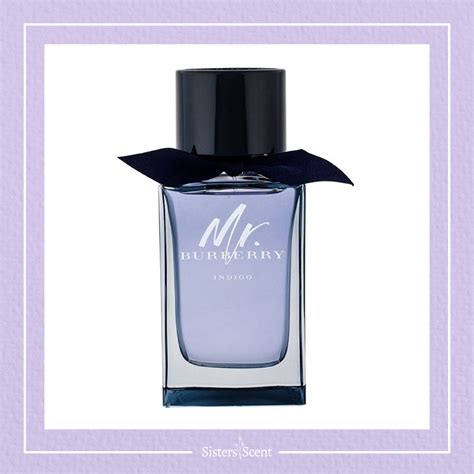 fragrantica burberry indigo|mr burberry edt 100ml.